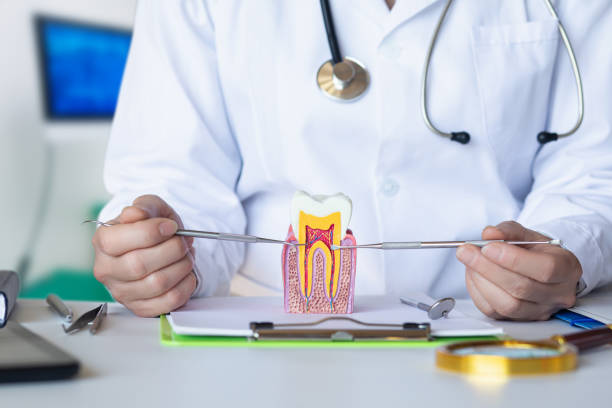 Best Emergency Root Canal Treatment in Ashton, ID